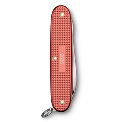 Pioneer X Alox Limited Edition 2025
